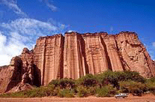 Villa Union > Talampaya > Ischigualasto (Vall&eacute;e de la Lune) > San Augustin Valle Fertil