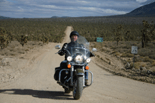Kingman, AZ > Oatman > Route 66 > Grand Canyon, AZ