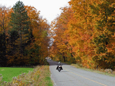 Carleton, QC > Forestville, QC