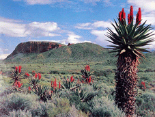 Malelane > La route du Drakensberg > Tzaneen