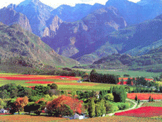 Stellenbosch > La Route des Vins > Montagu