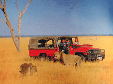 Graff Renet > Safari 4x4 > Port Elizabeth