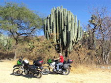 Atlixco > Oaxaca