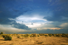 Jaisalmer > D&eacute;sert du Thar