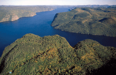 pauline tarnowski prostituées