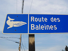 Tadoussac, QC > Route des Baleines> Baie Comeau, QC