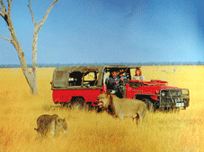 Piggs Peak > Safari au Kruger Park > Malelane