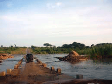 Hazyview > Safari au Parc National Kruger > Hazyview