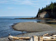 Grandeur Nature Tours - Baie Comeau, QC > Carleton-sur-mer, QC