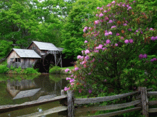 Blue Ridge Tours - Abingdon, VA > Floyd, VA