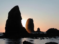 Pacific Coast Tours - Astoria, OR > Pacific Coast > Florence, OR