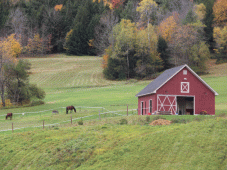 Midwest Tour - Bowling Green, KY  > Corydon, IN