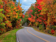 Blue Ridge Tours - Bryson City, NC > Tail of the Dragon > Cherohala > Blue Ridge, GA