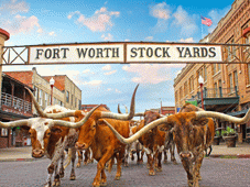 Texas Tours - Dallas, TX > Fort Worth