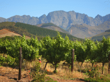 Route 62 Tours - Cape Town > Montagu