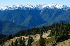 Pacific Coast Tours - Port Angeles, WA > Olympic Nat’l Park > Astoria, OR