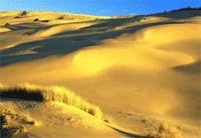 Pacific Coast Tours - Florence, OR > Oregon Dunes Nat’l > Brookings, OR