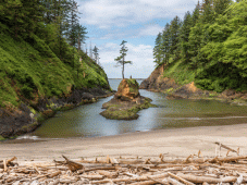 Pacific Coast Tours - Forks, WA > Cannon Beach, OR