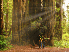 Pacific Coast Tours - Coos Bay, OR > Eureka, CA