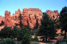 Indian Tours - Mount Carmel, UT > Bryce Canyon > Scenic Drive 12 > Torrey, UT