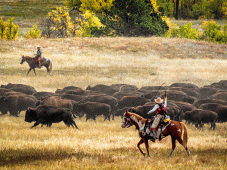 Rocky Mountain Tours - Centennial, WY > Guernsey State Park > Custer, SD