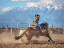 Rocky Mountain Tours - Buffalo, WY > Bighorn Mountains  > Cody, WY
