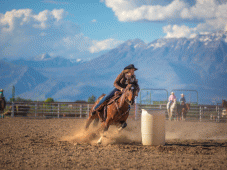 Rocky Mountain Tours - Buffalo, WY > Bighorn Mountains  > Cody, WY