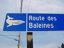 Grandeur Nature Tours - Tadoussac, QC > Route des Baleines> Baie Comeau, QC