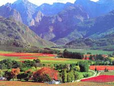 Route 62 Tours - Stellenbosch > La Route des Vins > Worcester