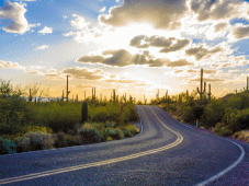 Arizona Tours - Phoenix, AZ > Casa Grande Ruins > Saguaro Nat'l Park > Tucson, AZ