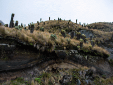 La route du caf&eacute; &agrave; travers les Andes - Salamina > Termales de Ruiz