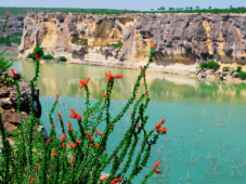 Tribute to Easy Rider - Del Rio, TX > Terlingua, TX