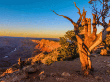 Western Tours - Grand Canyon > Monument Valley > Kayenta, AZ